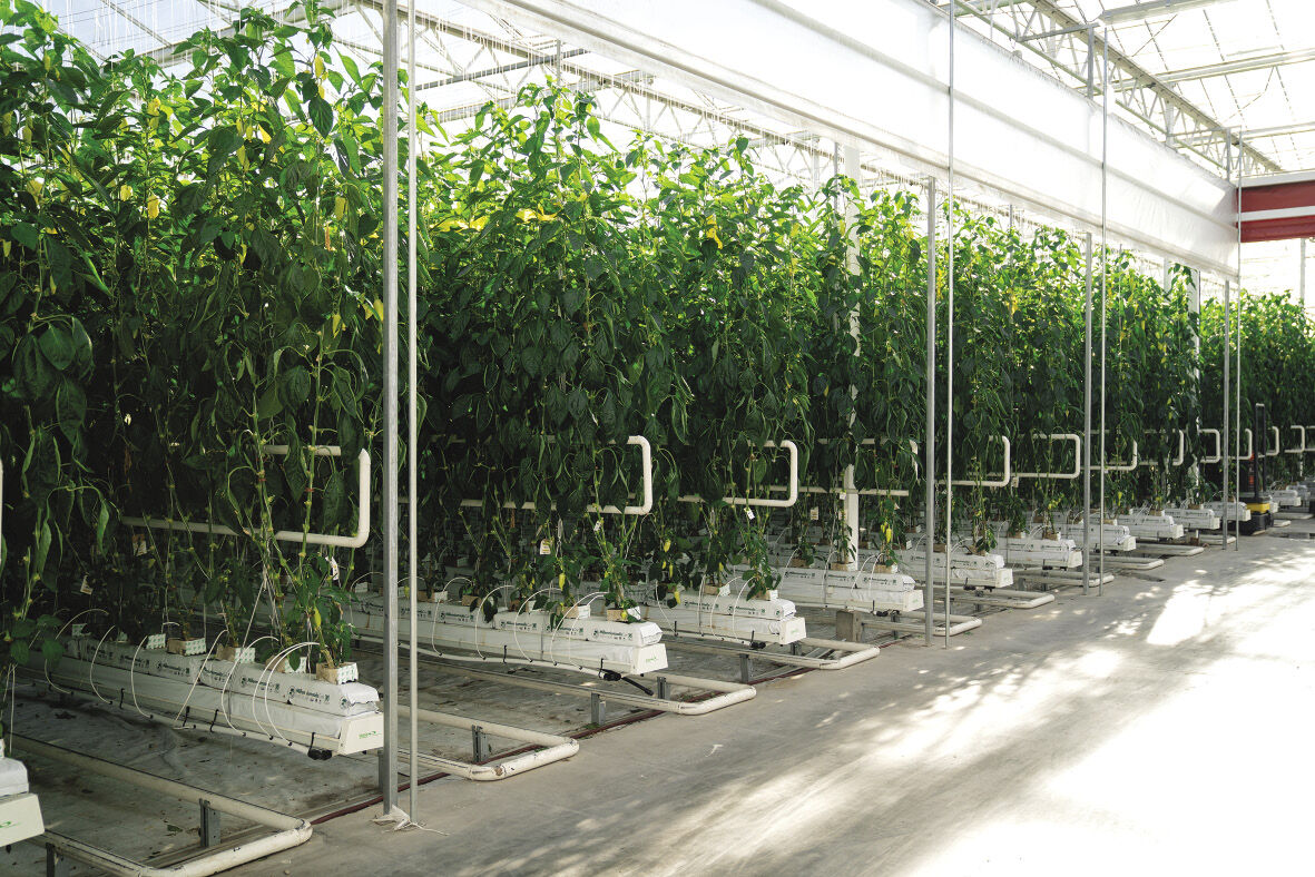 Tértechnológiás növénykezelés